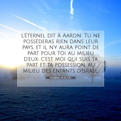 Nombres 18:20 LSG Image du verset biblique