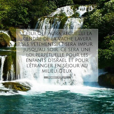 Nombres 19:10 LSG Image du verset biblique