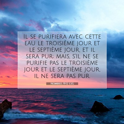 Nombres 19:12 LSG Image du verset biblique