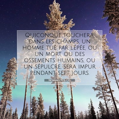 Nombres 19:16 LSG Image du verset biblique