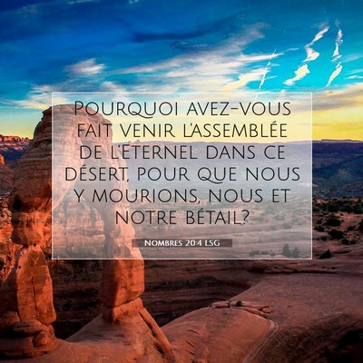 Nombres 20:4 LSG Image du verset biblique