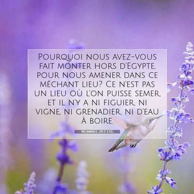 Nombres 20:5 Verset biblique expliqué