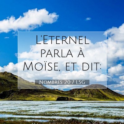 Nombres 20:7 LSG Image du verset biblique