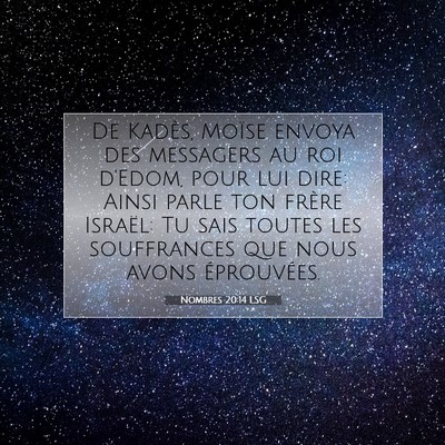 Nombres 20:14 LSG Image du verset biblique