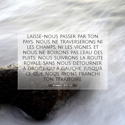 Nombres 20:17 LSG Image du verset biblique