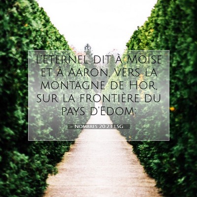 Nombres 20:23 LSG Image du verset biblique