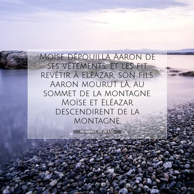 Nombres 20:28 LSG Image du verset biblique