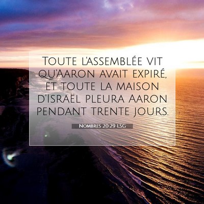 Nombres 20:29 LSG Image du verset biblique