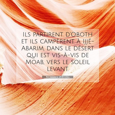 Nombres 21:11 LSG Image du verset biblique