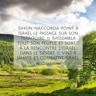 Nombres 21:23 LSG Image du verset biblique