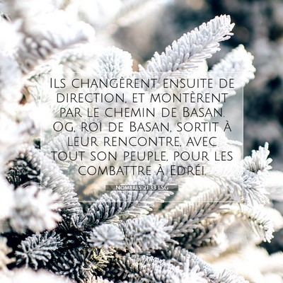 Nombres 21:33 LSG Image du verset biblique