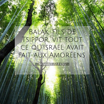 Nombres 22:2 Verset biblique expliqué