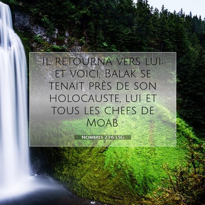 Nombres 23:6 LSG Image du verset biblique