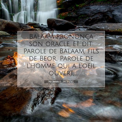 Nombres 24:3 LSG Image du verset biblique