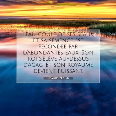 Nombres 24:7 LSG Image du verset biblique