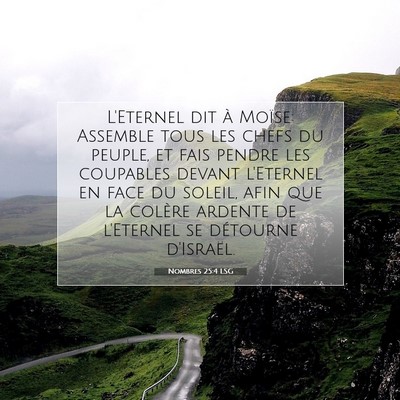 Nombres 25:4 LSG Image du verset biblique