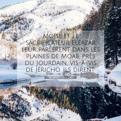 Nombres 26:3 LSG Image du verset biblique