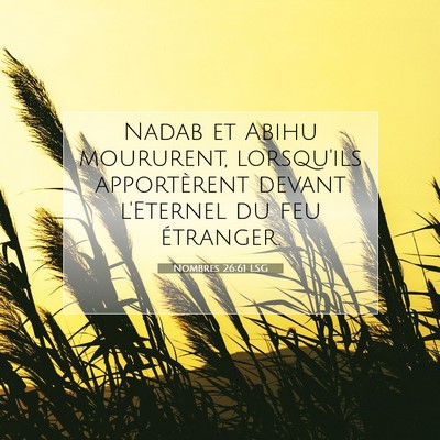 Nombres 26:61 LSG Image du verset biblique