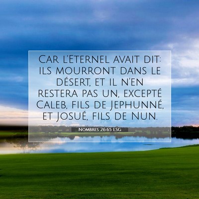 Nombres 26:65 LSG Image du verset biblique