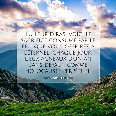 Nombres 28:3 LSG Image du verset biblique