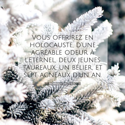 Nombres 28:27 LSG Image du verset biblique