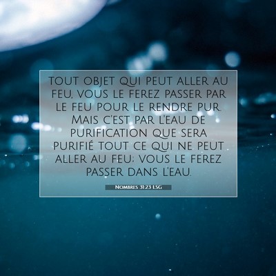 Nombres 31:23 LSG Image du verset biblique