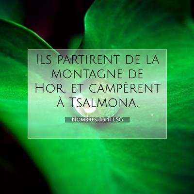 Nombres 33:41 LSG Image du verset biblique