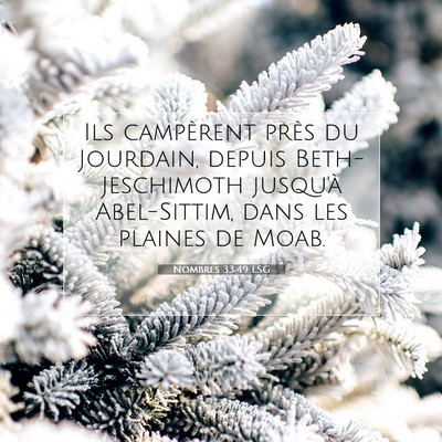 Nombres 33:49 LSG Image du verset biblique