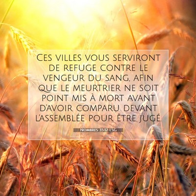 Nombres 35:12 LSG Image du verset biblique