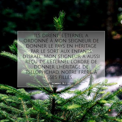 Nombres 36:2 LSG Image du verset biblique