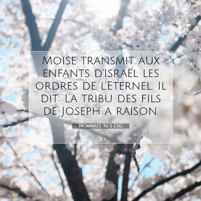 Nombres 36:5 LSG Image du verset biblique