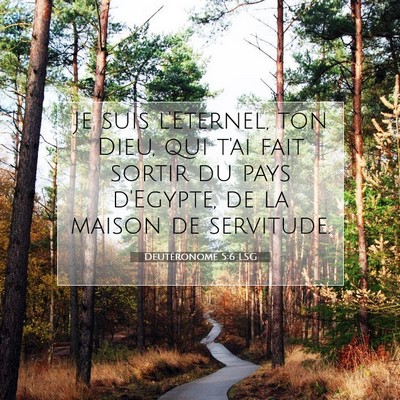 Deutéronome 5:6 LSG Image du verset biblique