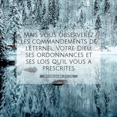 Deutéronome 6:17 LSG Image du verset biblique