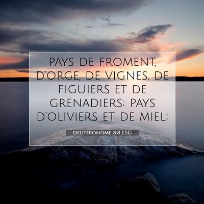 Deutéronome 8:8 LSG Image du verset biblique