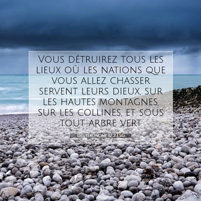 Deutéronome 12:2 LSG Image du verset biblique