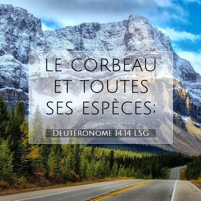 Deutéronome 14:14 Verset biblique expliqué