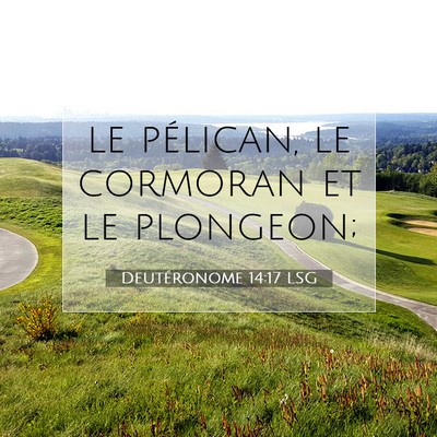 Deutéronome 14:17 Verset biblique expliqué