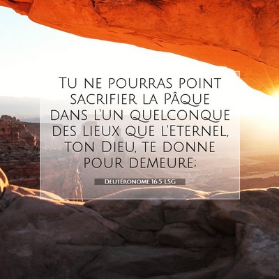 Deutéronome 16:5 LSG Image du verset biblique