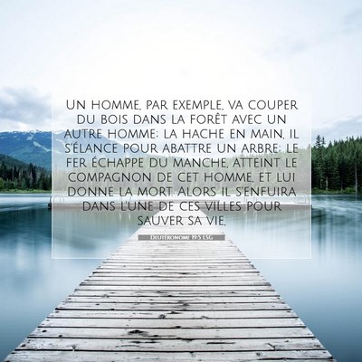 Deutéronome 19:5 LSG Image du verset biblique