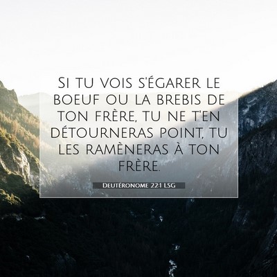 Deutéronome 22:1 Verset biblique expliqué