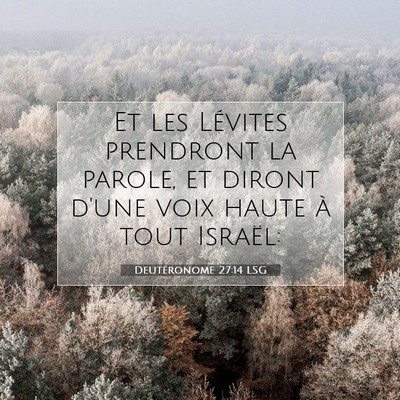 Deutéronome 27:14 LSG Image du verset biblique