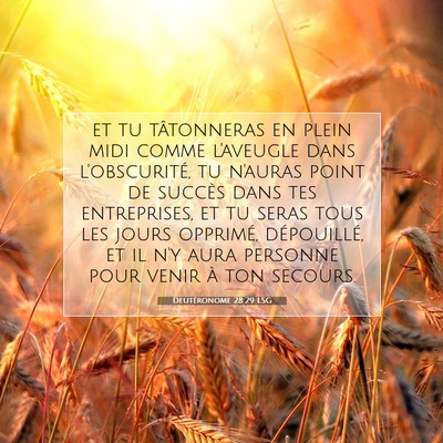 Deutéronome 28:29 LSG Image du verset biblique