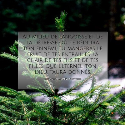 Deutéronome 28:53 LSG Image du verset biblique