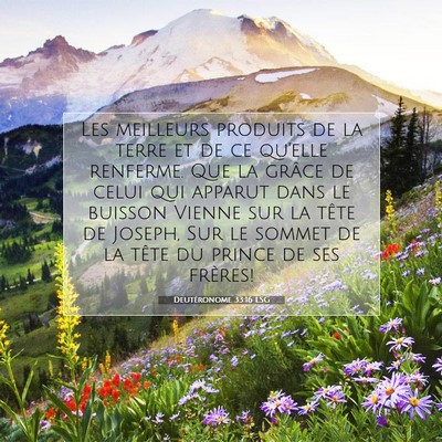 Deutéronome 33:16 LSG Image du verset biblique