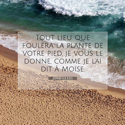 Josué 1:3 LSG Image du verset biblique