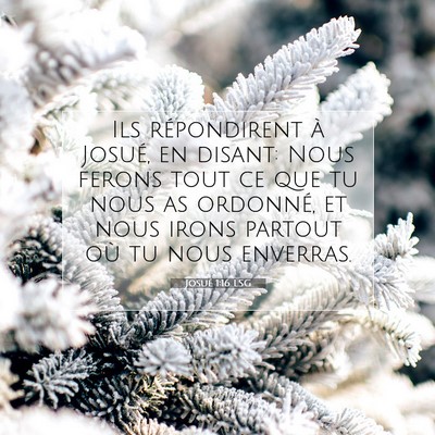 Josué 1:16 LSG Image du verset biblique