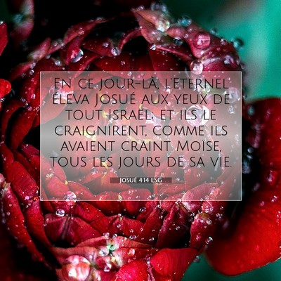 Josué 4:14 LSG Image du verset biblique