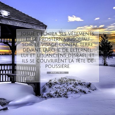 Josué 7:6 LSG Image du verset biblique