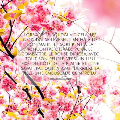 Josué 8:14 Verset biblique expliqué