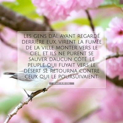 Josué 8:20 Verset biblique expliqué